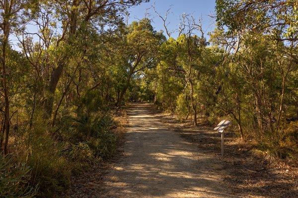 Don Shepherd Nature Reserve and Nyoongar Trail.