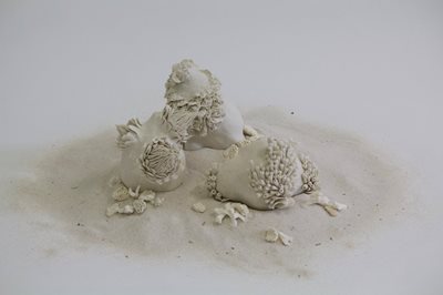 Small flora-inspired ceramic sculptures on a bed of sand.