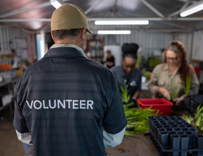 Man in shed with native plants wearing a City of Rockingham volunteer shirt.